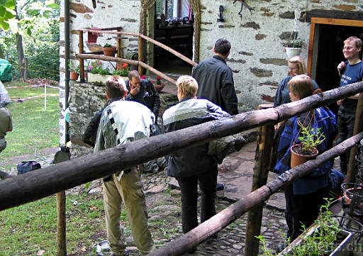 Original image